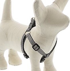 LupinePet ECO Recycled Step In Dog Harness, Granite, X-Small: 10 to 13-in chest, 1/2-in wide