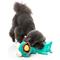 Show in main carousel: FuzzYard Loch Neck Monster Squeaky Plush Dog Toy slide 5 of 5