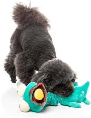 Show full view: FuzzYard Loch Neck Monster Squeaky Plush Dog Toy slide 5 of 5