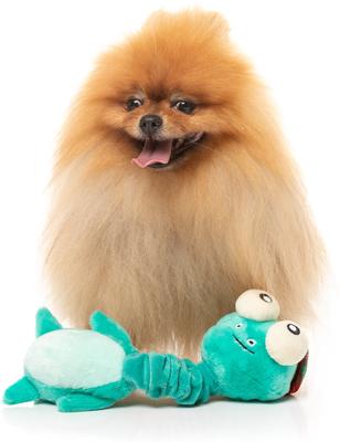 Show full view: FuzzYard Loch Neck Monster Squeaky Plush Dog Toy slide 3 of 5