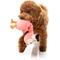 Show in main carousel: FuzzYard Neckole The Flamingo Squeaky Plush Dog Toy slide 3 of 5