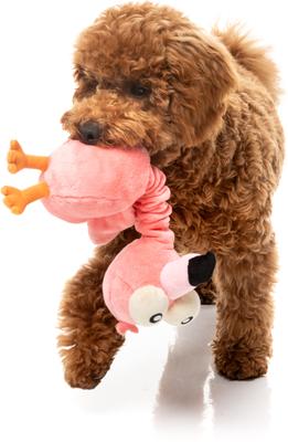 Show full view: FuzzYard Neckole The Flamingo Squeaky Plush Dog Toy slide 3 of 5