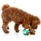 Show in main carousel: FuzzYard Loch Neck Monster Squeaky Plush Dog Toy slide 4 of 5