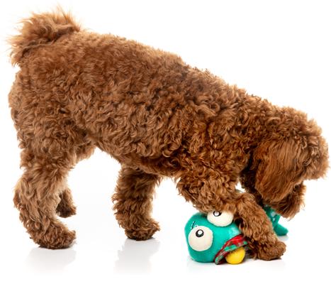 Show full view: FuzzYard Loch Neck Monster Squeaky Plush Dog Toy slide 4 of 5