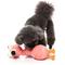 Show in main carousel: FuzzYard Neckole The Flamingo Squeaky Plush Dog Toy slide 5 of 5