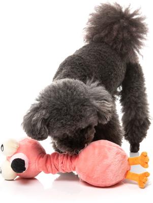 Show full view: FuzzYard Neckole The Flamingo Squeaky Plush Dog Toy slide 5 of 5