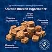Show in main carousel: NaturVet Quiet Moments Calming Bacon & Chicken Flavored Soft Chew Supplement, 70 count slide 7 of 12