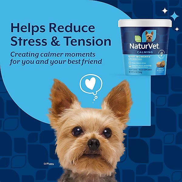 Show full view: NaturVet Quiet Moments Calming Bacon & Chicken Flavored Soft Chew Supplement, 70 count slide 5 of 12