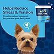 Show in main carousel: NaturVet Quiet Moments Calming Bacon & Chicken Flavored Soft Chew Supplement, 70 count slide 5 of 12