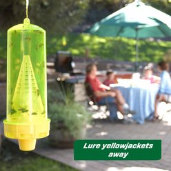 Rescue! Reusable Yellowjacket Trap slide 2 of 7