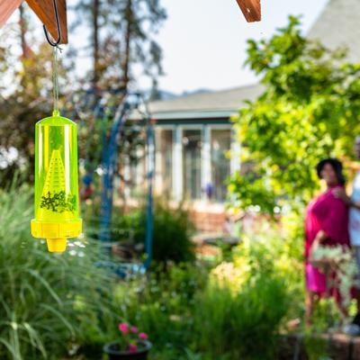 Show full view: Rescue! Reusable Yellowjacket Trap slide 4 of 9