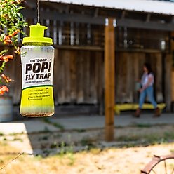 Rescue! Pop! Fly Trap slide 2 of 4