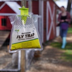 Rescue! Disposable Fly Trap slide 2 of 5