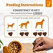 Show in main carousel: Zesty Paws Probiotic Bites Pumpkin Flavored Soft Chews Gut Flora & Digestive Supplement for Dogs, 10 count slide 3 of 10