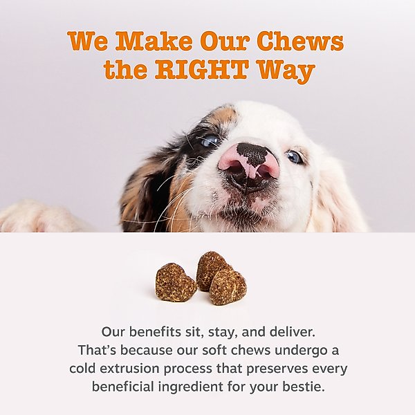 Show full view: Zesty Paws Probiotic Bites Pumpkin Flavored Soft Chews Gut Flora & Digestive Supplement for Dogs, 10 count slide 4 of 10