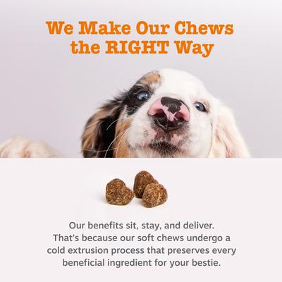 Show full view: Zesty Paws Skin & Coat Bites Chicken Flavored Soft Chews Omega 3 Fish Oil Supplement for Dogs, 90 count slide 4 of 11