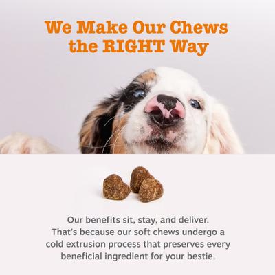 Show full view: Zesty Paws Skin & Coat Bites Bacon Flavored Soft Chews Omega 3 Fish Oil Supplement for Dogs, 90 count slide 5 of 12