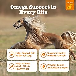 Zesty Paws Skin & Coat Bites Bacon Flavored Soft Chews Omega 3 Fish Oil Supplement for Dogs, 90 count slide 2 of 9