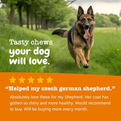 Show full view: Zesty Paws Skin & Coat Bites Bacon Flavored Soft Chews Omega 3 Fish Oil Supplement for Dogs, 90 count slide 7 of 12