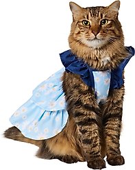 Frisco Blue Daisies Dog & Cat Dress, Small