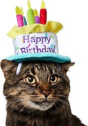 Frisco Birthday Cake Dog & Cat Hat, X-Small/Small slide 1 of 6