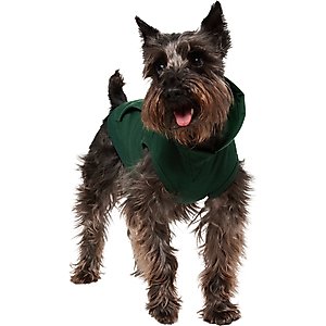 Frisco Basic Dog & Cat Hoodie, Forest Green, Small
