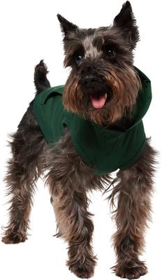 Show full view: Frisco Basic Dog & Cat Hoodie, Forest Green, Small slide 3 of 11