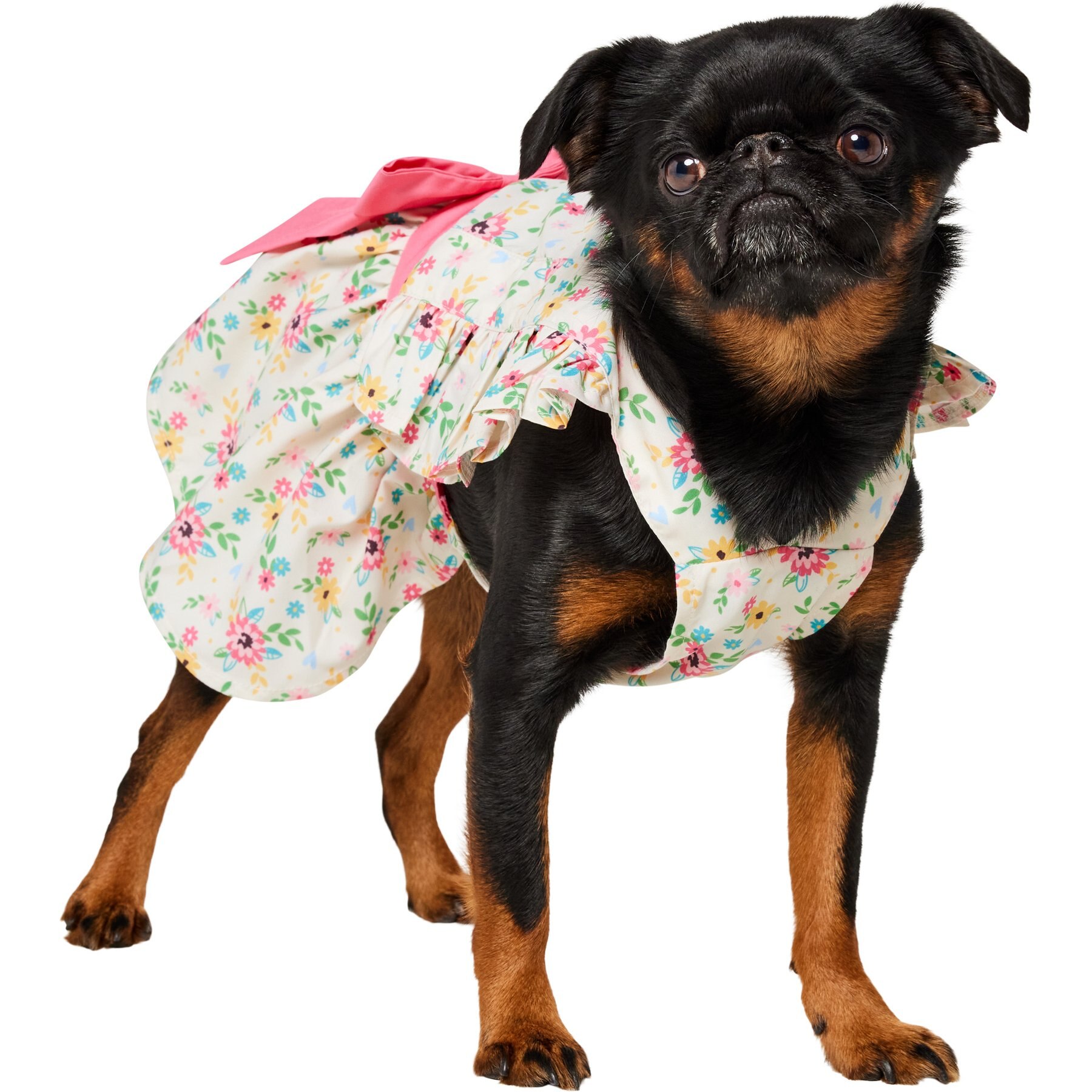 Frisco Dainty Pink Floral Dog & Cat Dress, Floral, Medium
