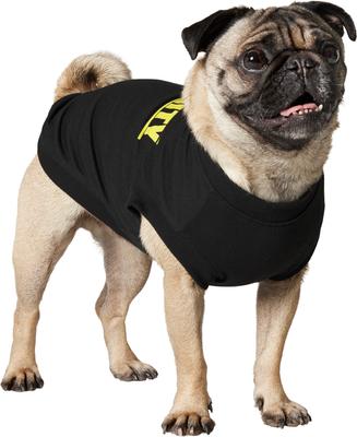 Show full view: Frisco Security Dog & Cat T-Shirt, Jet Black, Medium slide 3 of 11