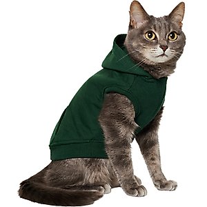 Frisco Basic Dog & Cat Hoodie, Forest Green, X-Small