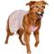 Show in main carousel: Frisco Pink Floral Dog & Cat Dress, Pink Floral, XX-Large slide 1 of 9