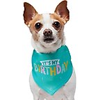 Frisco Dog & Cat Birthday Bandana, X-Small/Small