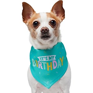 Frisco Dog & Cat Birthday Bandana, X-Small/Small