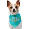 Show in main carousel: Frisco Dog & Cat Birthday Bandana, X-Small/Small slide 1 of 8
