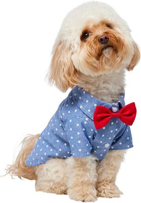 Show full view: Frisco Polka Dot Chambray Dog & Cat Button Up Shirt, Medium slide 4 of 11