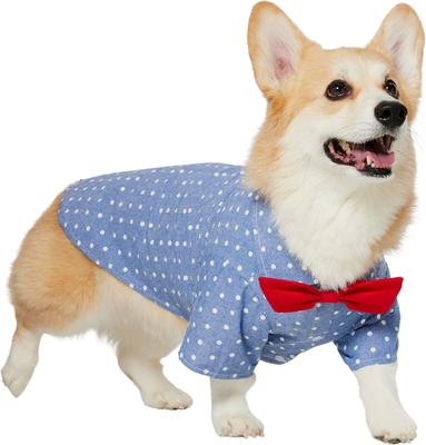 Show full view: Frisco Polka Dot Chambray Dog & Cat Button Up Shirt, X-Large slide 4 of 10