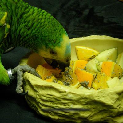 Show full view: Hari Calcium-Enriched Bentonite Clay Supplement for Birds, 1.27-lb slide 6 of 8