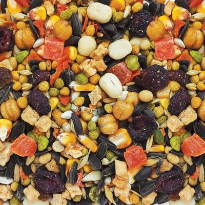 Show full view: Hari Gourmet Premium Seed Blend for Parrots, 20-lb bag slide 4 of 6