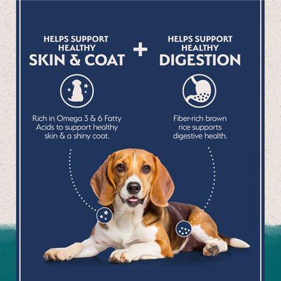 Show full view: Natural Balance Limited Ingredient Chicken & Brown Rice Recipe Dry Dog Food, 12-lb bag slide 6 of 11