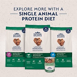 Natural Balance Limited Ingredient Lamb & Brown Rice Recipe Dry Dog Food, 24-lb bag