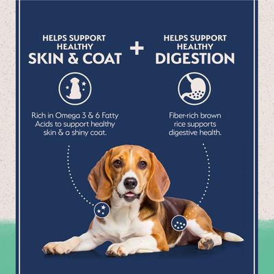 Show full view: Natural Balance Limited Ingredient Grain-Free Chicken & Sweet Potato Recipe Dry Dog Food, 12-lb bag slide 6 of 11