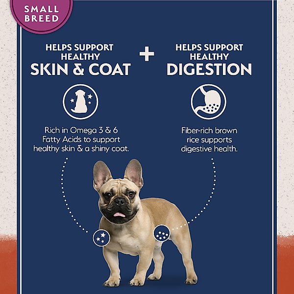 Natural Balance Limited Ingredient Grain-Free Salmon & Sweet Potato Small Breed Bites Recipe Dry Dog Food