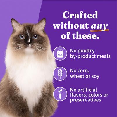 Show full view: Halo Chicken, Whitefish, Turkey Variety Pack Grain-Free Pate Adult Wet Cat Food, 5.5-oz can, case of 12 slide 5 of 8