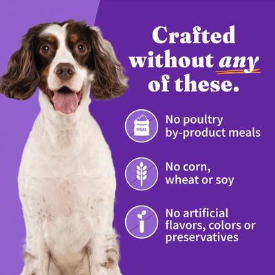 Show full view: Halo Stew Variety Pack Canned Dog Food, 13.2-oz can, case of 6 slide 5 of 9