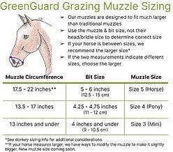 GreenGuard Grazing Horse Muzzle, Blueberry, Pony slide 2 of 9