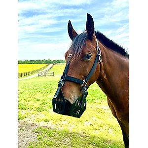 GreenGuard Grazing Horse Muzzle, Black, Horse, 5-in