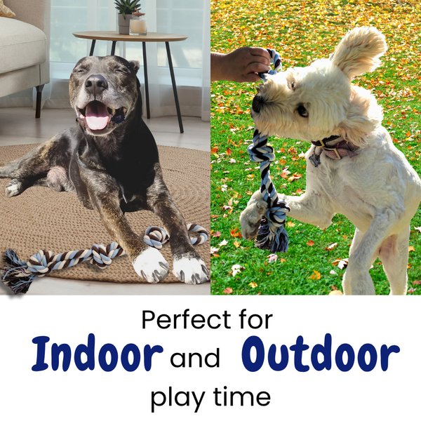 Show full view: Otterly Pets Knotted Rope Dog Toy, 22-in slide 4 of 7