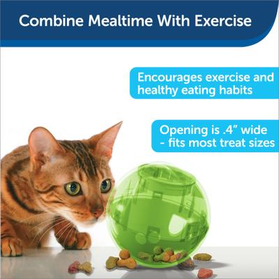 Show full view: PetSafe SlimCat Interactive Cat Feeder, Green, 0.66-cup slide 4 of 11