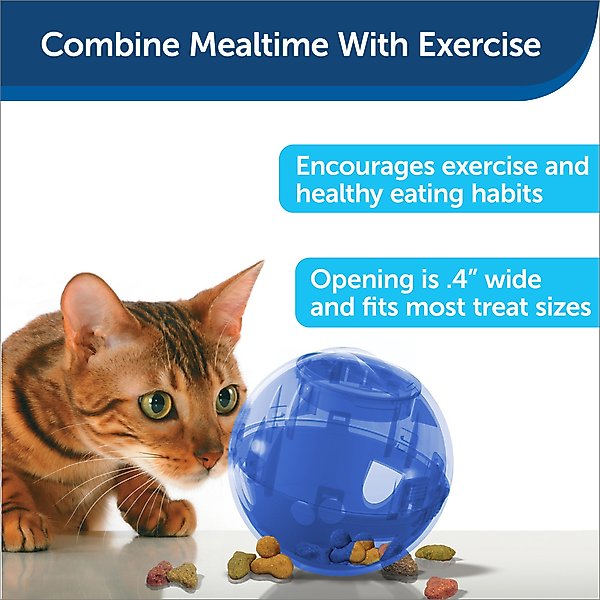 Show full view: PetSafe SlimCat Interactive Cat Feeder, Blue, 0.66-cup slide 4 of 11