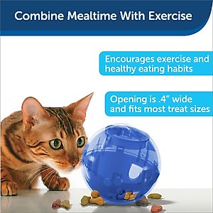 PetSafe SlimCat Interactive Cat Feeder, Blue, 0.66-cup